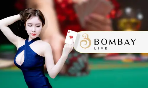 11xPlay WhatsApp Number